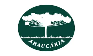 araucaria